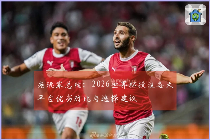 老玩家总结:2026世界杯投注各大平台优劣对比与选择建议